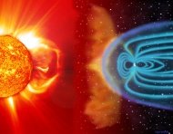 The earth's magnetic field determines the telluric networks