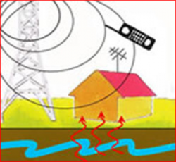 Association of Geobiological Studies - Association of Geobiological Studies